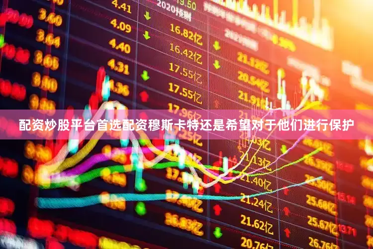 配资炒股平台首选配资穆斯卡特还是希望对于他们进行保护