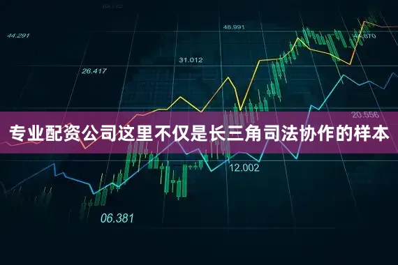 专业配资公司这里不仅是长三角司法协作的样本