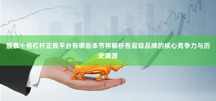股票十倍杠杆正规平台有哪些本节将解析各层级品牌的核心竞争力与历史渊源