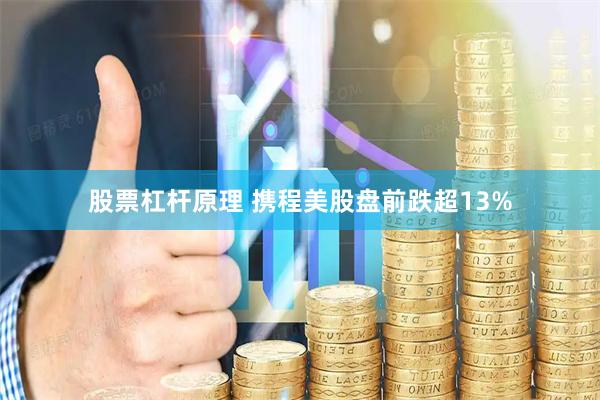 股票杠杆原理 携程美股盘前跌超13%